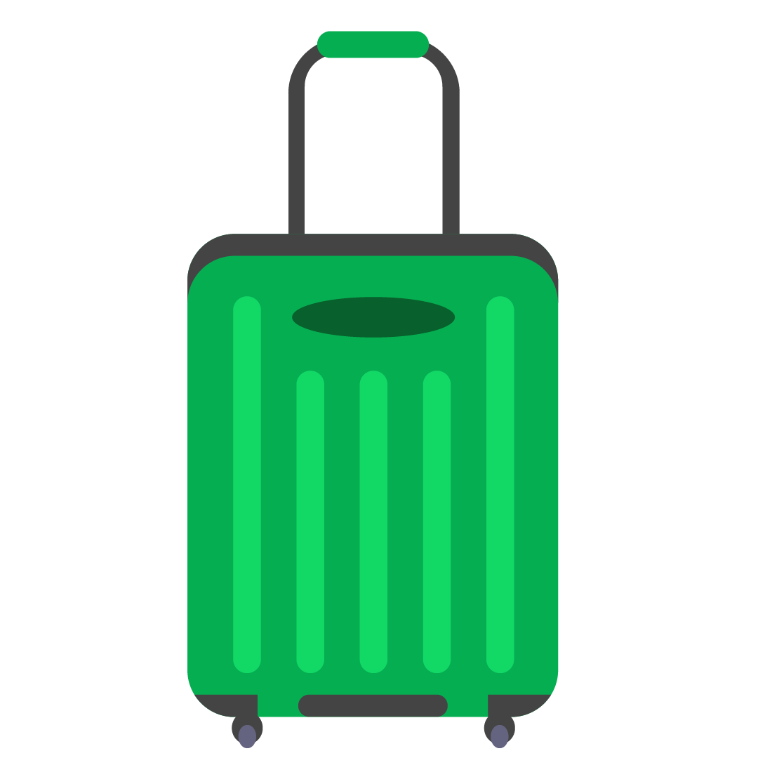 Landing_Luggage.png